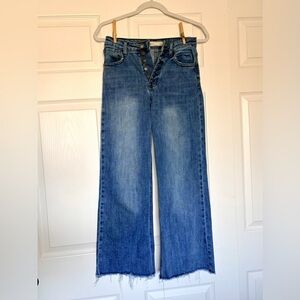 TNR Indigo Blue High-Waisted Ankle Jeans — Size 24